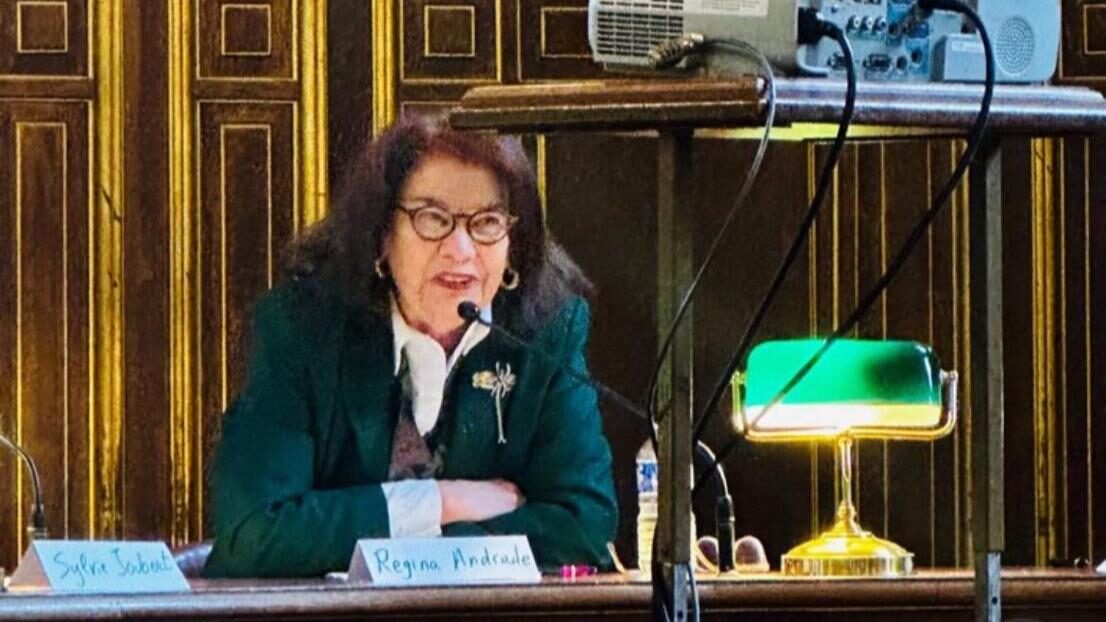 Professora Regina Andrade em uma palestra na Universidade de Sorbonne, na França (Foto: Reprodução/Instagram)