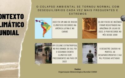 O impacto da crise climática nas crianças refugiadas e a urgência de um debate na COP30