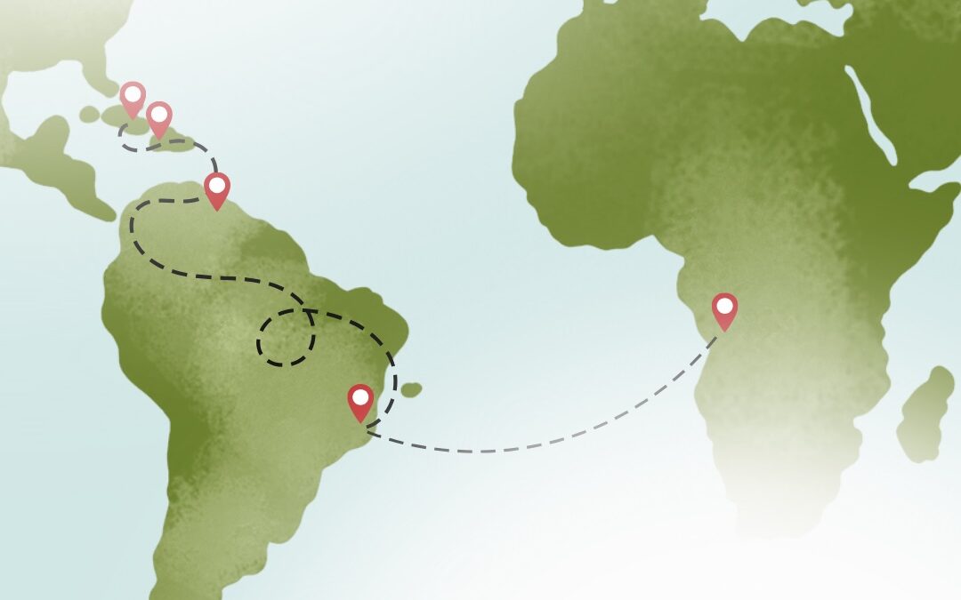 Mapa interativo: Refugiadas no Brasil
