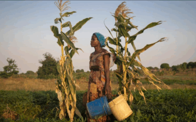 Novamente deslocados: o impacto do clima na reafirmação de desigualdades