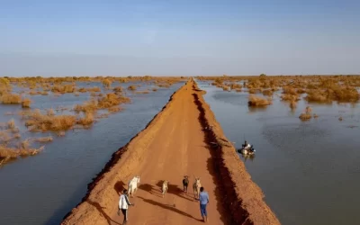 Sem status e sem direitos: o caso Teitiota e o deslocamento climático